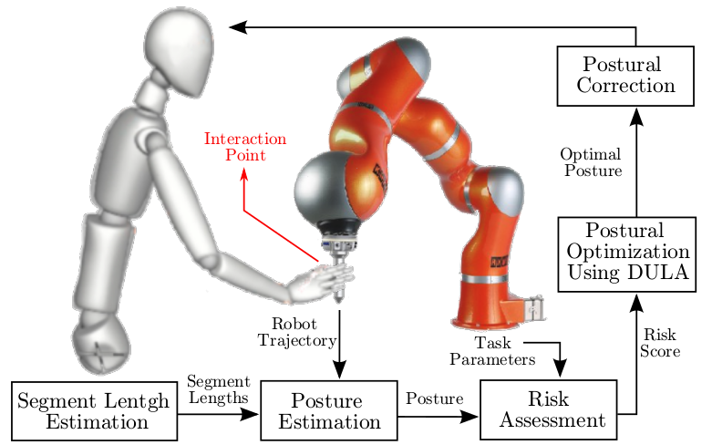 Ergonomically Intelligent Physical Human-Robot Interaction: Postural ...